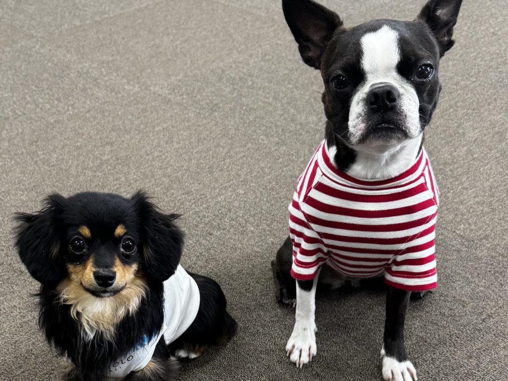 ブログ・お知らせのサムネイル