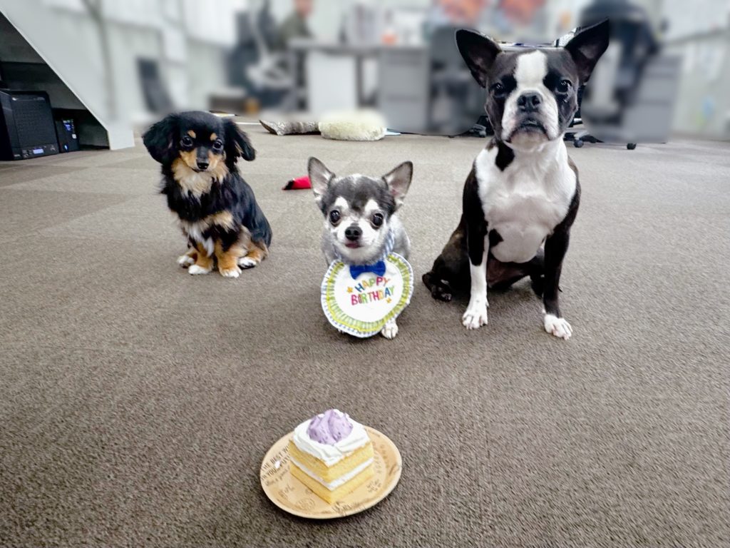 ブログ・お知らせのサムネイル