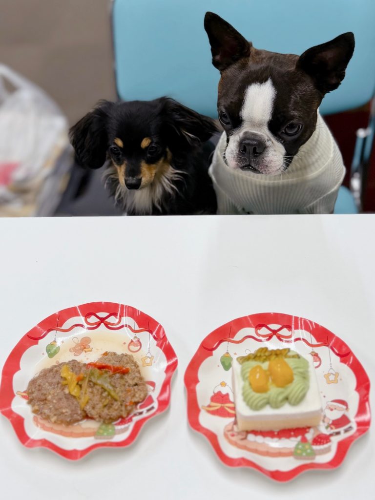 ブログ・お知らせのサムネイル